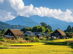杏林旅居康养服务平台亮相发布  开创中西医医养旅居融合新生态